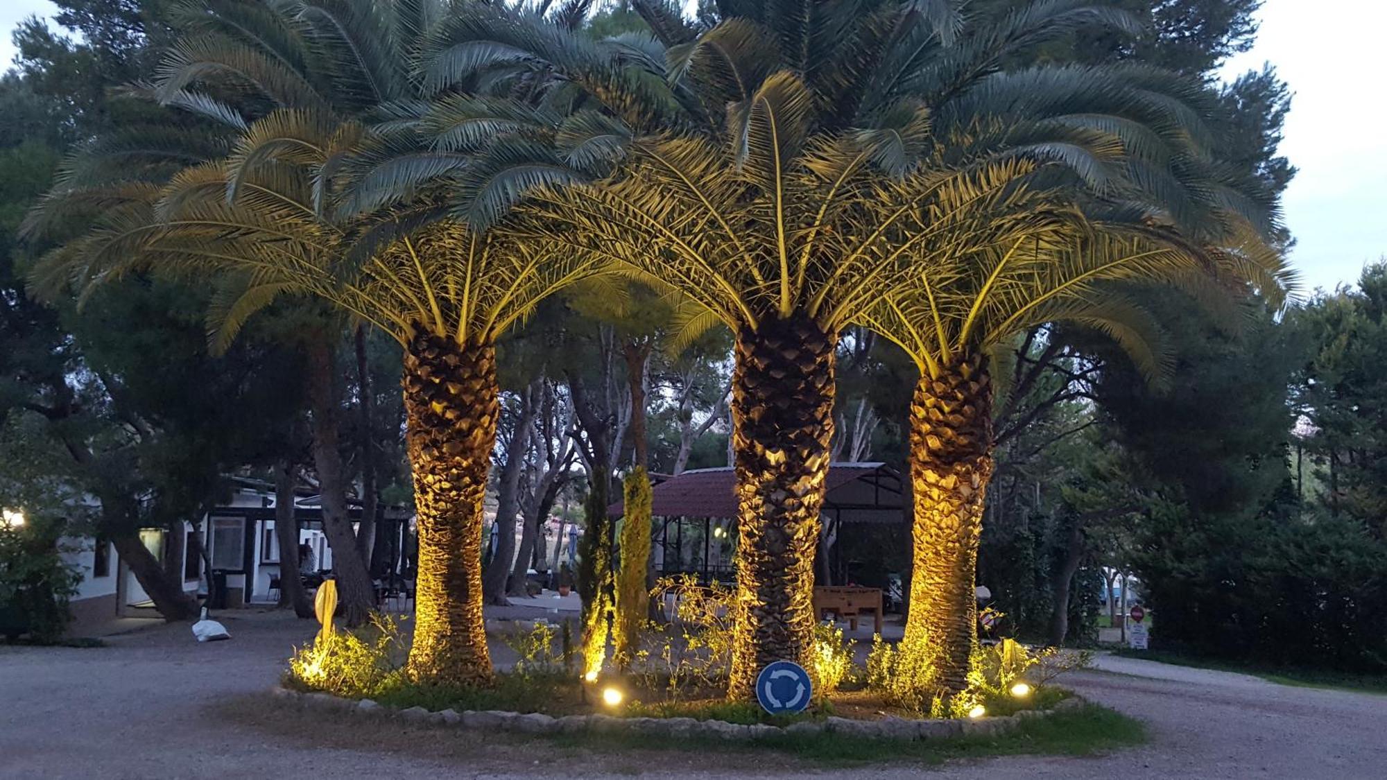 Taiga Lake קספה מראה חיצוני תמונה