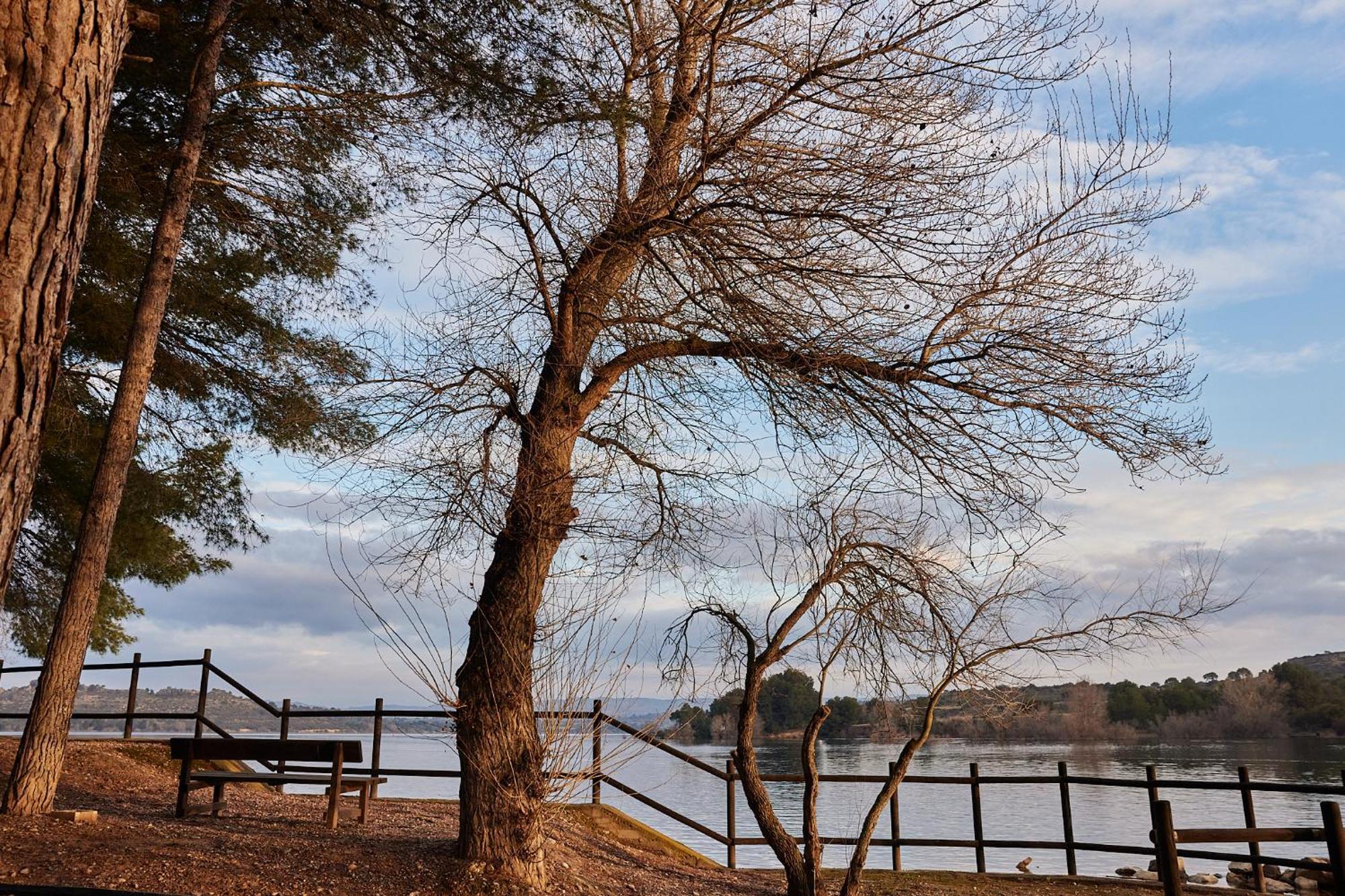 Taiga Lake קספה מראה חיצוני תמונה